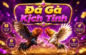 Giao diện sảnh Đá Gà kicknitwithtay
